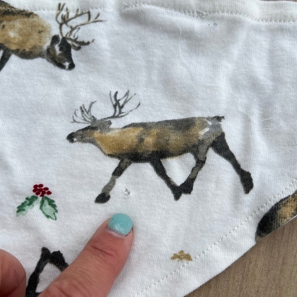Burt's Bees 2 Piece Northern Reindeer Organic Cotton Pet Bandanas in Cardinal - Picture 6 of 7